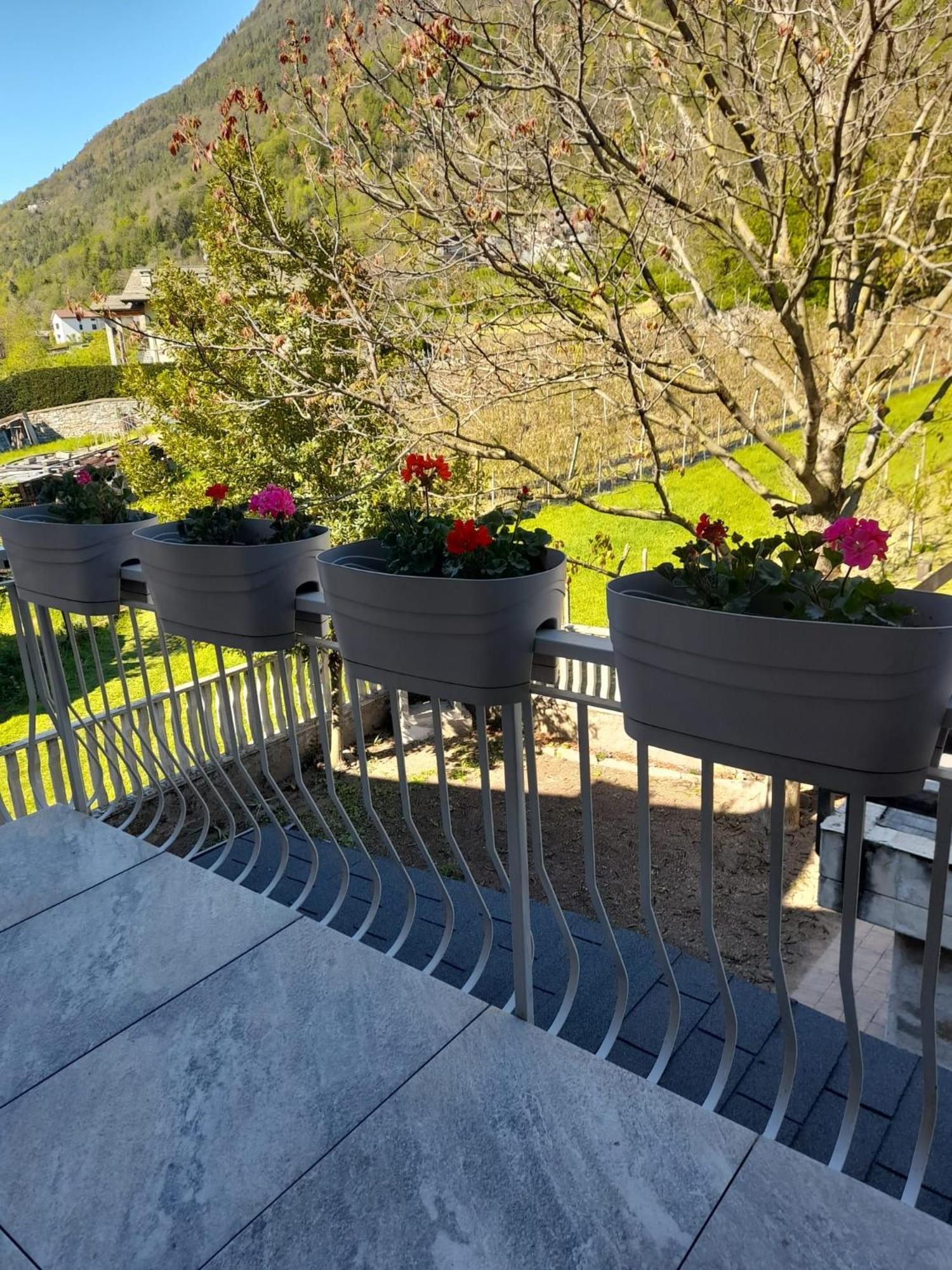 La Casetta Di Campagna Mazzo di Valtellina Extérieur photo